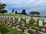 Veterans Coalition Memorial Day Ceremony and Wreath Laying